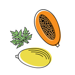 Whole tropical fruits, half, peeled and green leaves isolated on white background.