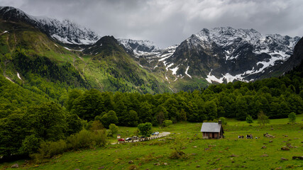 Fototapeta premium Artiga de Lin in spring (Arán Valley, Pyrenees, Catalonia, Spain)