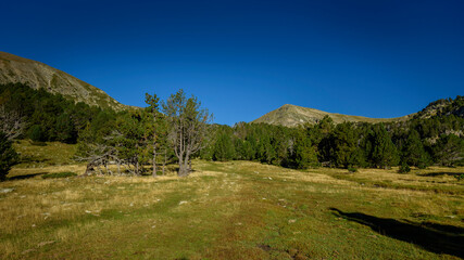 Obraz premium Ascent to the Estanys de la Pera lakes from the Font de les Pollineres (Cerdanya, Catalonia, Spain, Pyrenees)