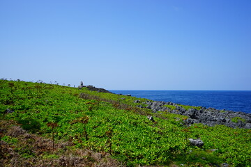 Fototapeta na wymiar Cape Hedo in Okinawa, Japan - 辺戸岬 沖縄 日本