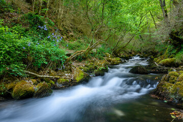 Bastareny natural spring and its surroundings in spring (Berguedà, Catalonia, Spain)