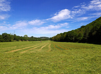Obraz premium bellissimo e rilassante panorama di campi coltivati nella regione francese del Jura