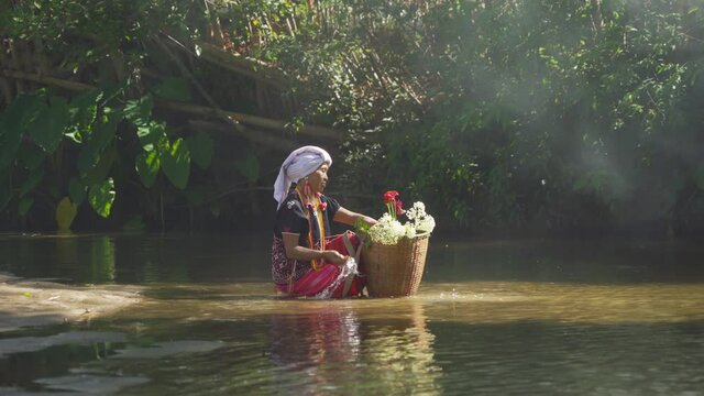A karen tribe old woman with traditional dress carrying flowers basket sitting in stream lake with green jungle forest. Nature landscape. People lifestyle.