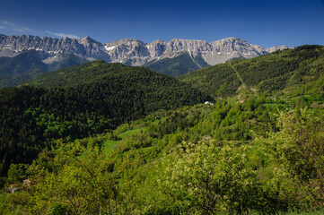 Fototapeta premium Serra de Cadí seen from the path from Estana village to Prat de Cadí meadow (Cerdanya, Catalonia, Spain, Pyrenees)