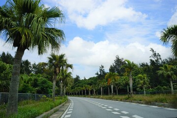 Expressway with palm tree in Okinawan, Japan - 沖縄 道路
