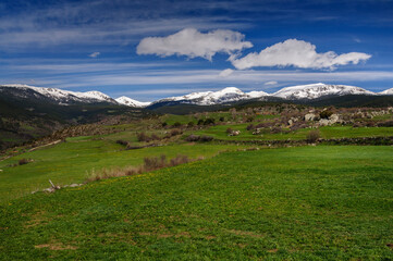 Fototapeta na wymiar Tossal de Bovinar and Tossa Plana de Lles summits seen from Lles de Cerdanya in spring (Cerdanya, Catalonia, Spain, Pyrenees)