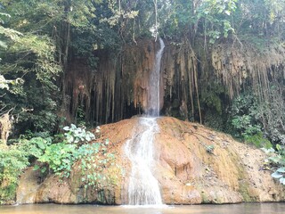 waterfall in the forest