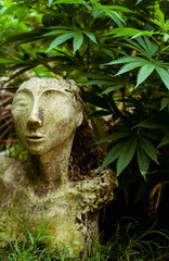 cannabis plant next to woman sculpture