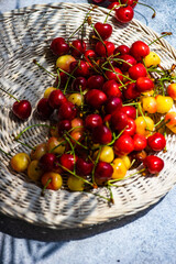 Summer background with palm leaves