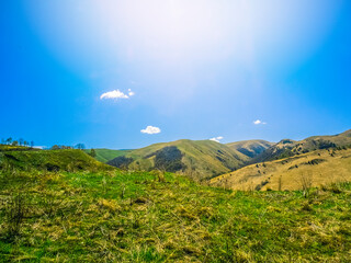 Green grass on the yellow spring alpine meadows of the Gumbashi pass. Mountainous, hilly summer landscape of the Caucasus Mountains. Nature of Russia, pasture ridge.