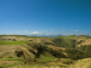 Fototapeta na wymiar Green grass on the yellow spring alpine meadows of the Gumbashi pass. Snow covered huge mountain Elbrus on horizon against the blue sky. Mountainous, hilly summer landscape of the Caucasus Mountains.