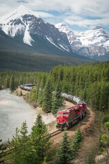 Freight Train passing through the Morant's Curve in Banff National Park with the Canadian Rocky Mountains in the background