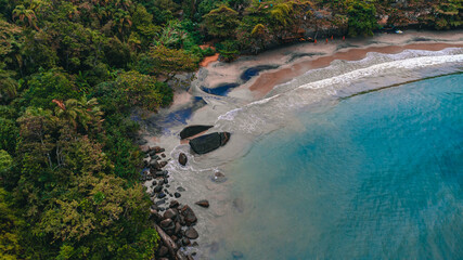 Obraz premium Winter Autumn Cold Island Fog Beach Rainforest Background Nature Trees Leaves Green Blue Landscape Cloud Castelhanos Ilhabela Brazil