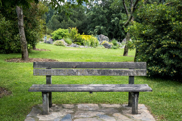 An empty wooden bench in the botanical park. An old wooden bench. Trees, flowers, plants. City park for rest.