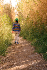 Enfant se promenant au milieu de haute herbes et bambou. Lumière dorée.