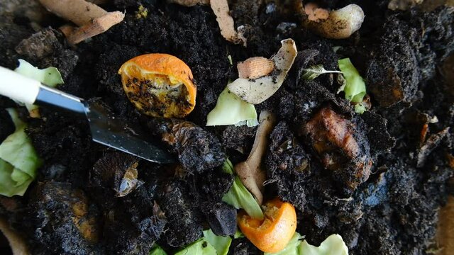 Stock video

Compost pit, soil in a heap with rotten food waste. Natural goodness for the garden and vegetable garden.