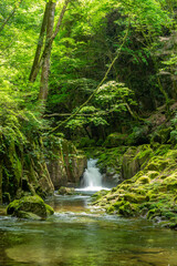 Obraz premium 【三重県名張市】初夏の赤目四十八滝