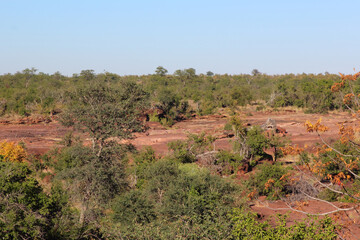 Afrikanischer Busch - Krügerpark - Red Rocks / African Bush - Kruger Park - Red Rocks /
