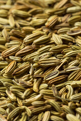 Homemade Raw Fennel Seeds