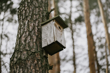 bird house on tree