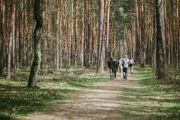 people walking in the forest