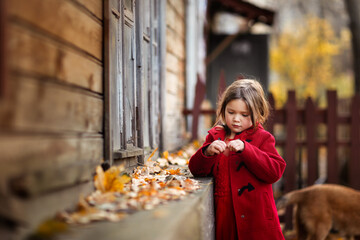 Cute funny caucasian child girl in a red coat walks on the autumn street, stylish child, a girl in a festive dress walking with yellow leaves, autumn mood, a child looks at the leaves of a tree