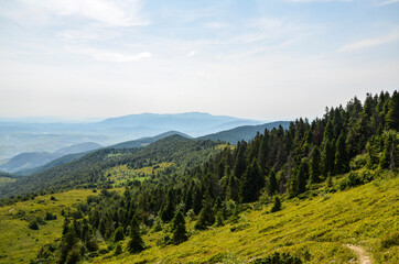 Fototapeta na wymiar A view from the mountain ridge down to the meadow and forest hills. Carpathian mountains, Ukraine. Silence and harmony of nature.
