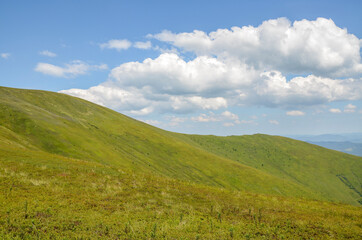 Summer landscape with grassy meadow peaks and slopes under cloudy sky in Borzhava, Carpathian mountains, Ukraine