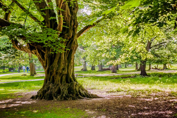 Hannover Tiergarten