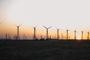 Windmills at sunset with flying flock of birds - Powered by Adobe