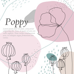 Faded background in the style of line art with poppies. - 437446347