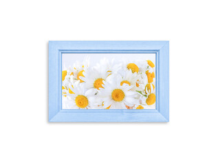 Light blue photo frame with beautiful white camomiles picture, interior decor detail idea	
