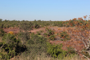 Afrikanischer Busch - Krügerpark - Red Rocks / African Bush - Kruger Park - Red Rocks /