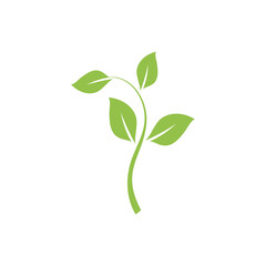 Fototapeta na wymiar Leaf Green Nature Ecology Element Vector Image
