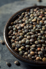 Raw Black Organic Lentils