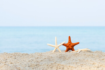 Fototapeta na wymiar Starfish on the beach with copy space concept summer season on tropical beach
