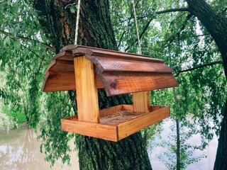 Handmade wooden bird feeder in summer near lake.   old wooden house for birds hanging on a tree in the city park, empty bird's feeder