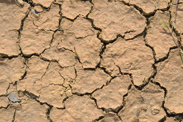 dry cracked earth background