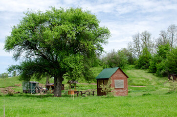 Water well, table and wooden gazebo under the green tree	