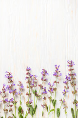 sage on a white wooden background. Medicinal herbs, preparation. Alternative medicine background