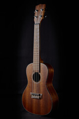 Fototapeta na wymiar four strings ukulele from solid mahogany wood to play as hobby for fun or for music education during lockdown suit for children and for everone