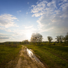 Fototapeta na wymiar dirty ground road among green fields at the sunset