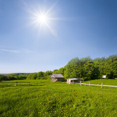 small farm on forest glade at the sunny day