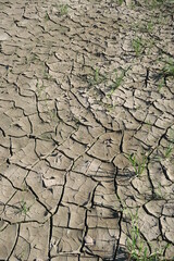 Dry, cracked soil in a farmland