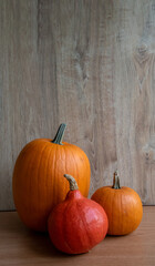 Group of various orang ripe pumpkins lies on wooden the table. Close-up view. Selective focus. Copy space for your text. Organic food theme.