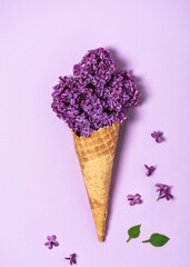 Creative still life of an ice cream waffle cone with lilac blossom on pink background. Top view.