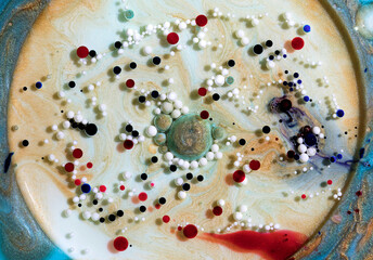 Beautiful acrylic color abstract background. Colored marble mixed ink abstraction.