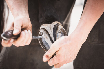 Hufschmied / Hufbearbeitung / Hufpflege