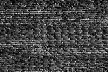 A grungy brick wall texture as background.