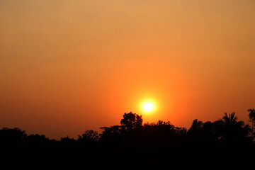 Sunset in a village behind the tree. Yellow evening sky . Sun tree and beautiful sky 